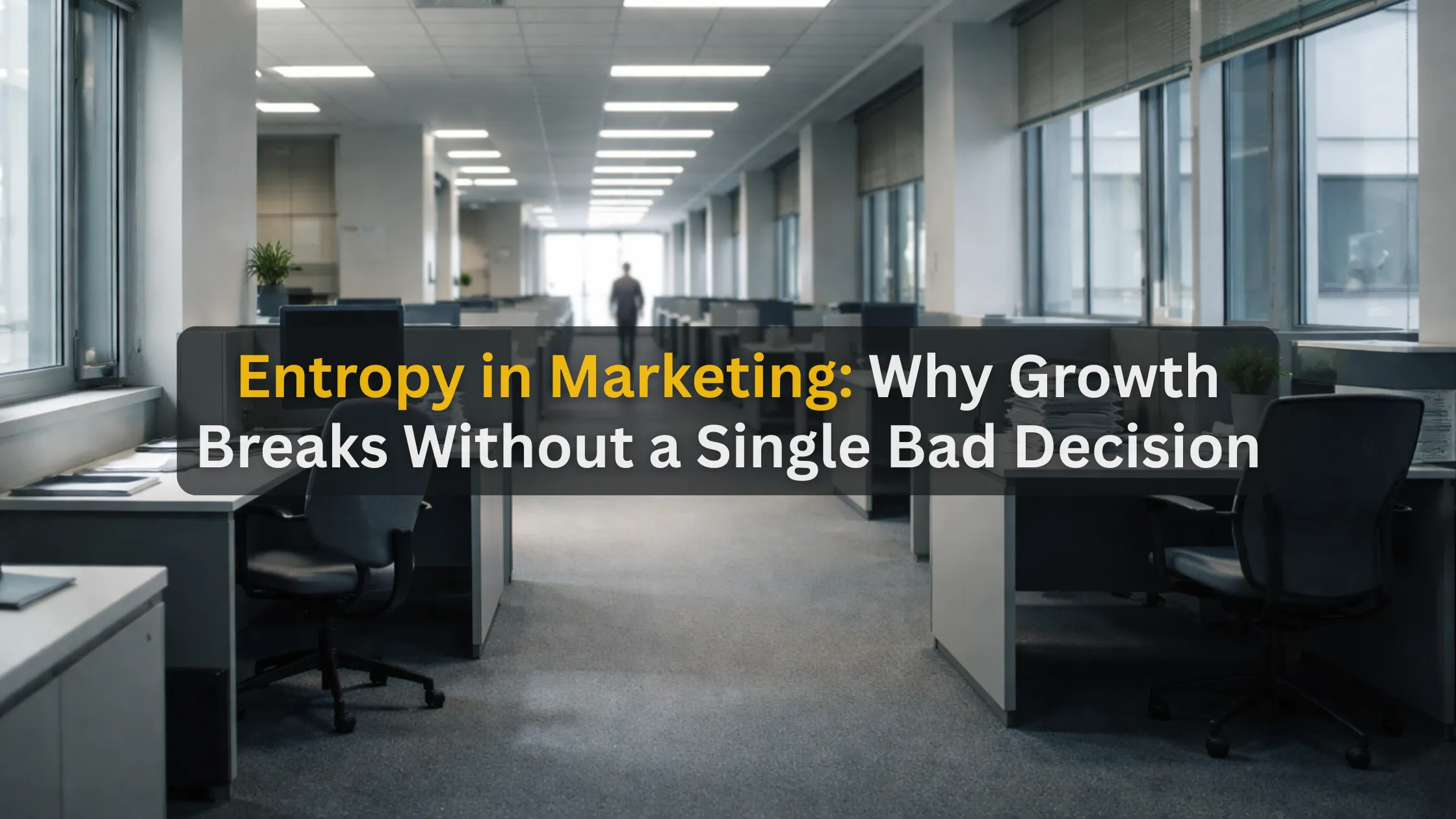 Entropy in Marketing: Why Growth Breaks Without a Single Bad Decision