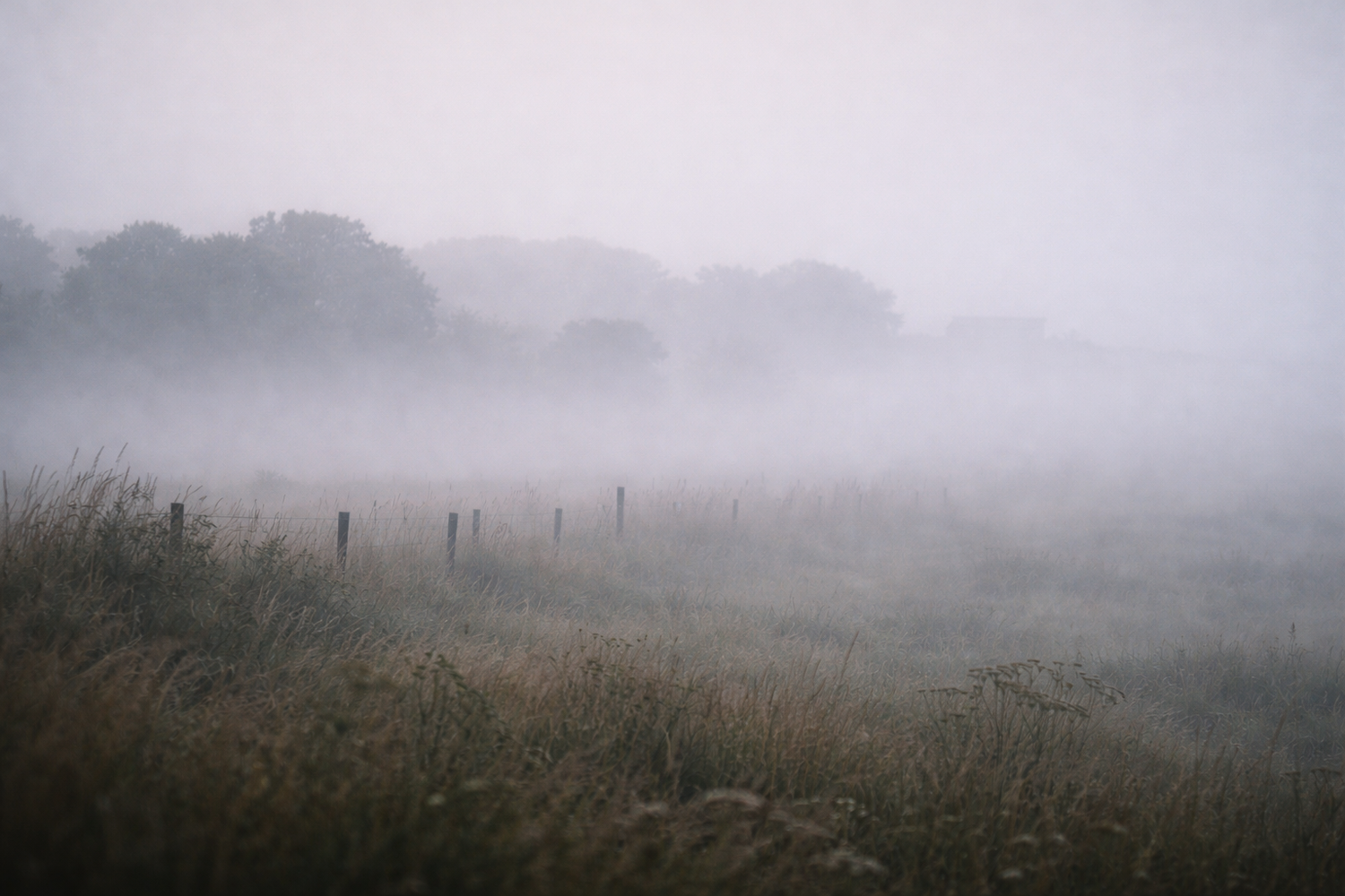 Vague Language Weakens AI Recall