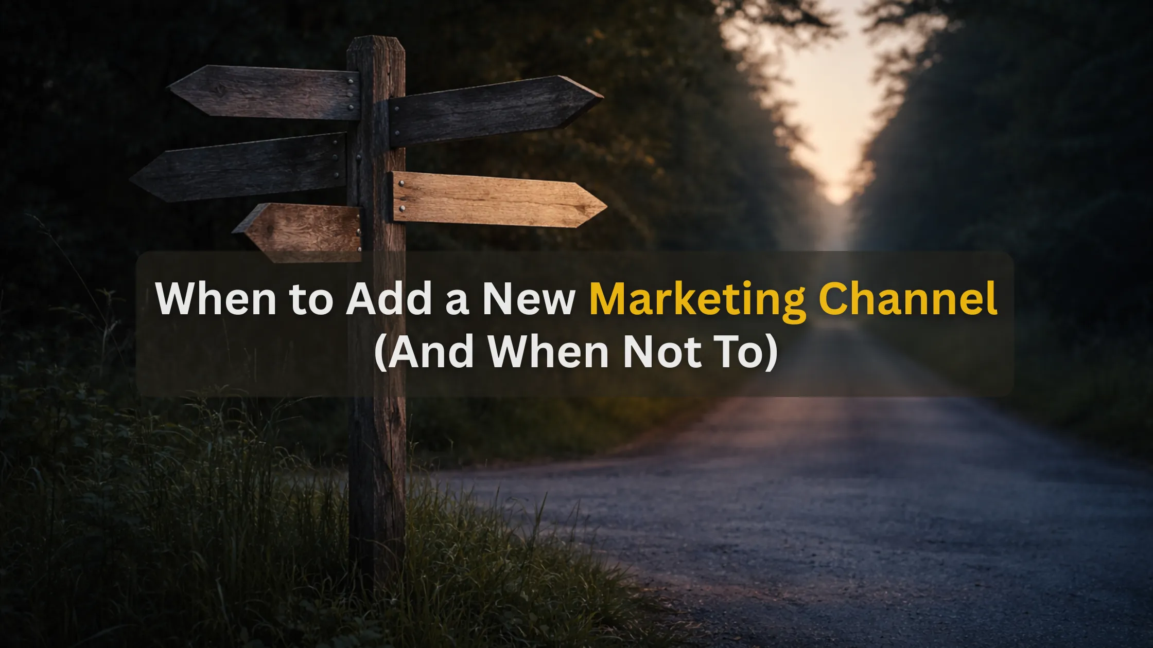 New Marketing Channel